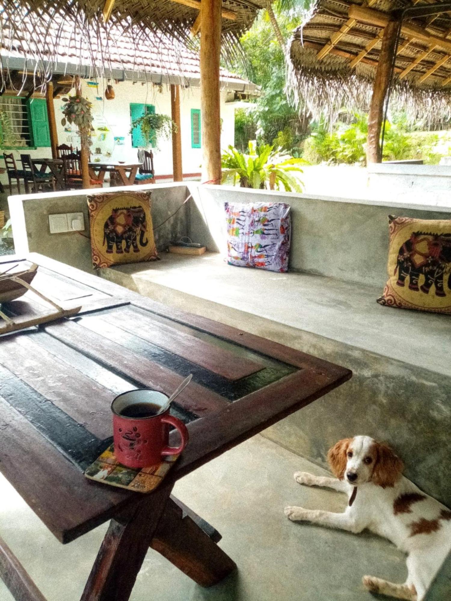 Lazy Monkey Surfhostel - Sri Lanka Dikwella Bagian luar foto