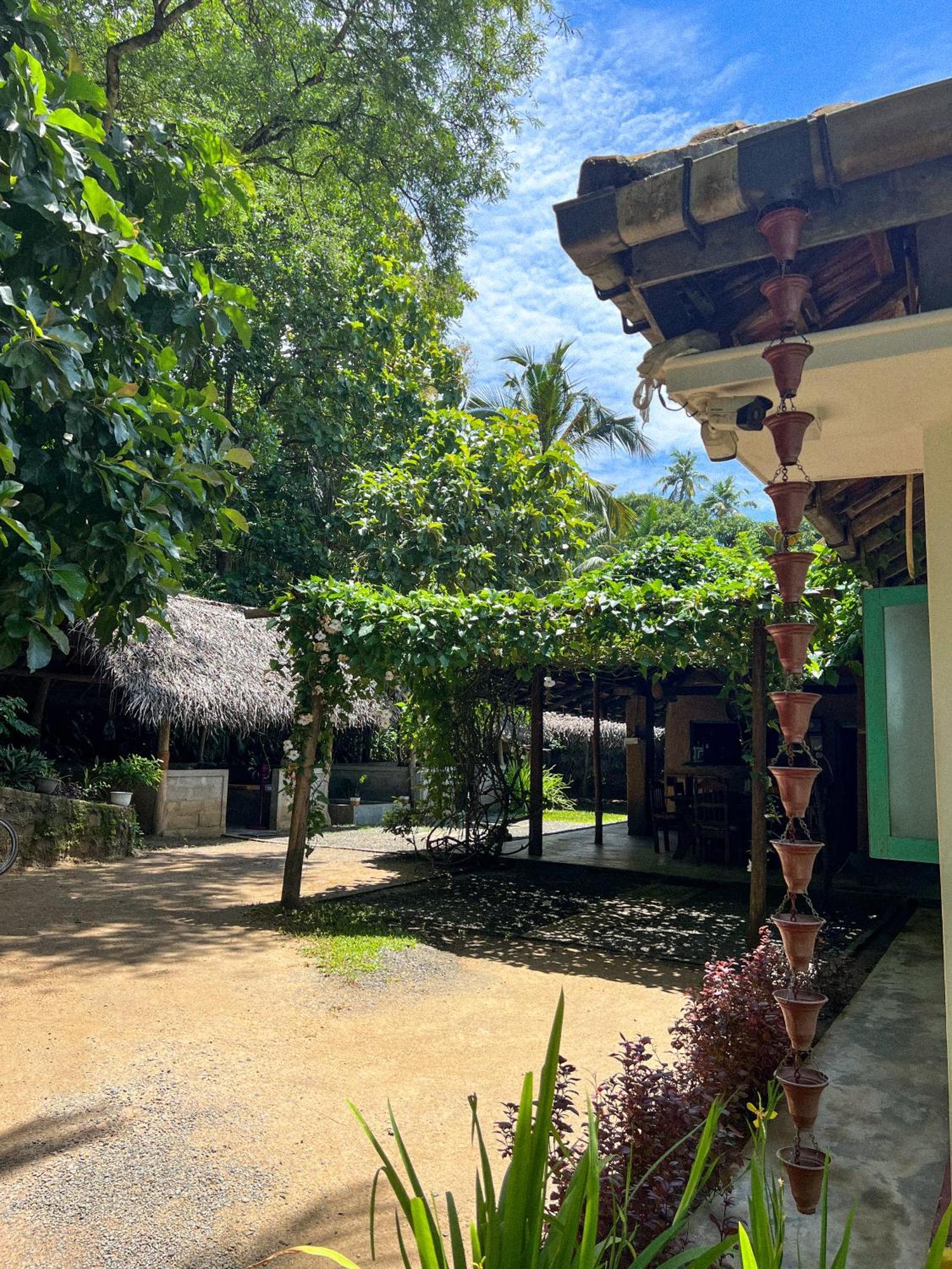 Lazy Monkey Surfhostel - Sri Lanka Dikwella Bagian luar foto