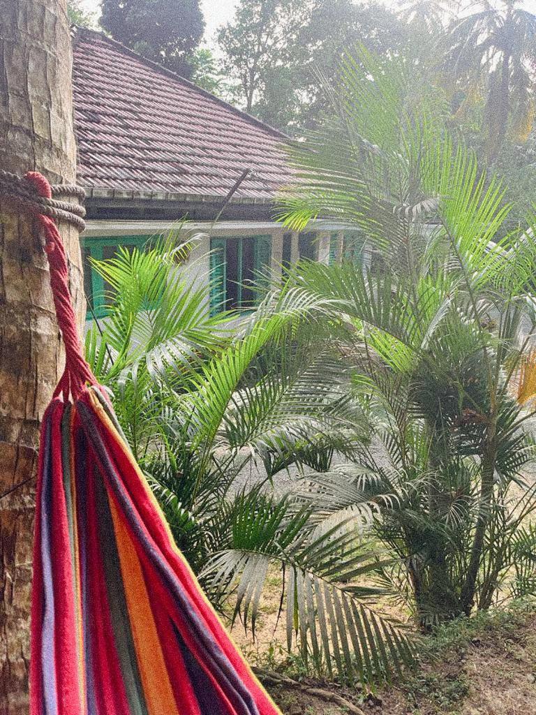 Lazy Monkey Surfhostel - Sri Lanka Dikwella Bagian luar foto