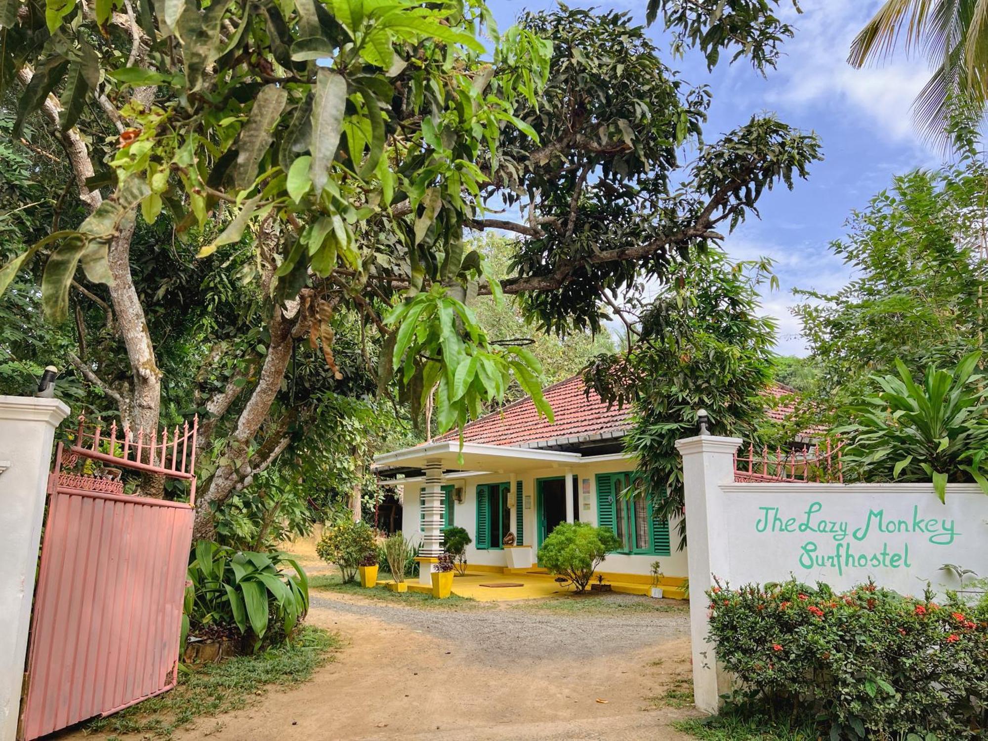Lazy Monkey Surfhostel - Sri Lanka Dikwella Bagian luar foto